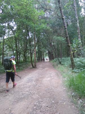 Ein Waldweg, direkt vor dem Fotografen ist ein Pilgerer mit Wanderstock und Rucksack sichtbar. In der Ferne eine weitere Pilgergruppe.