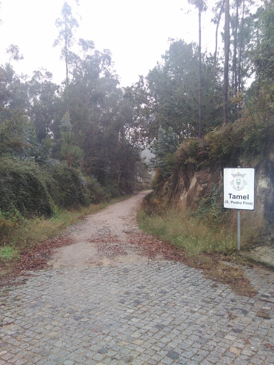 Heute von Barcelos via Portal de Tamel nach Balugaez. Dauerregen sucks. Aber schön wars trotzdem