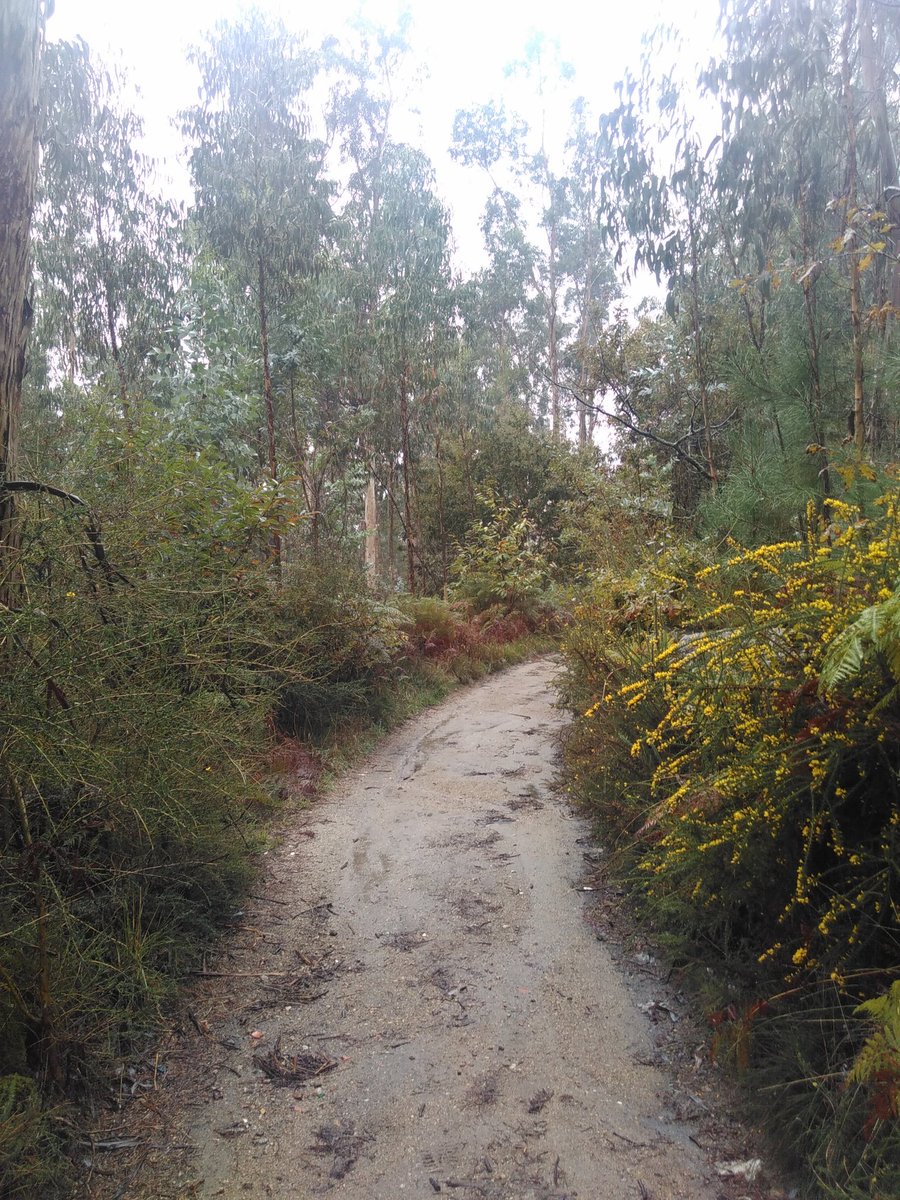 Heute von Barcelos via Portal de Tamel nach Balugaez. Dauerregen sucks. Aber schön wars trotzdem