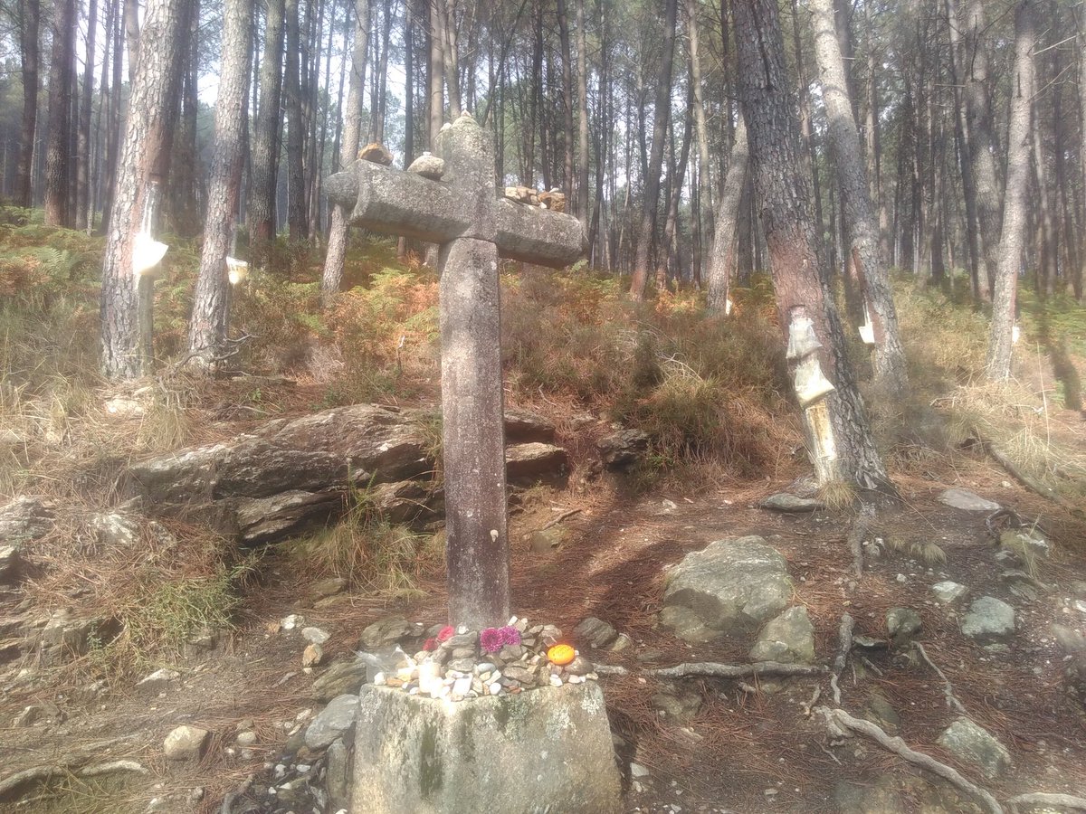 Portela Grande. o/ Davor Cruz dos Franceses. Und hier wird viel Baumharz gesammelt