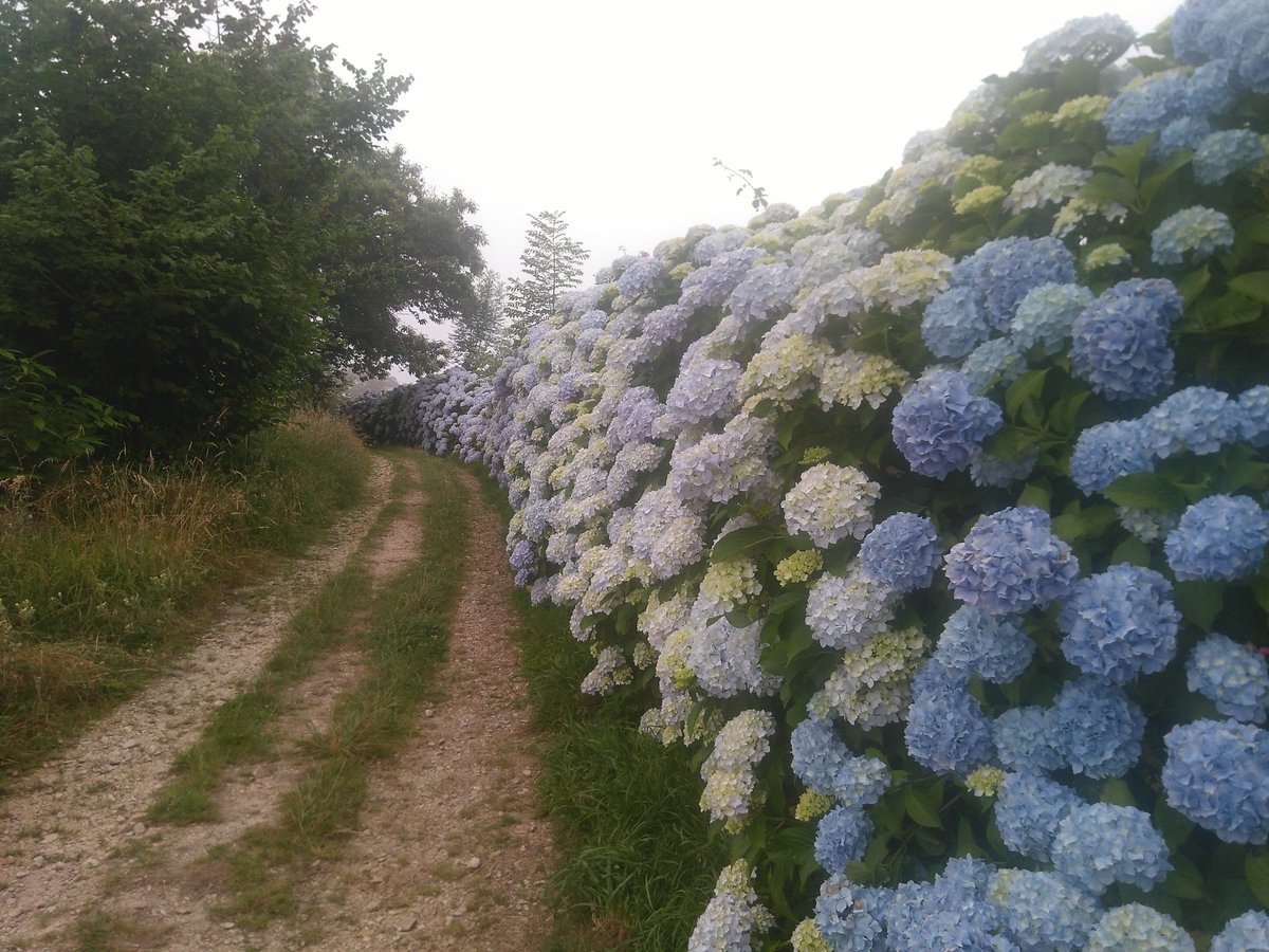 Hänge nun in Salas ab. Habe heute 500hm auf steinigen, aber wunderschönen Pfaden solide überlebt bei 22km. Was mich posi…