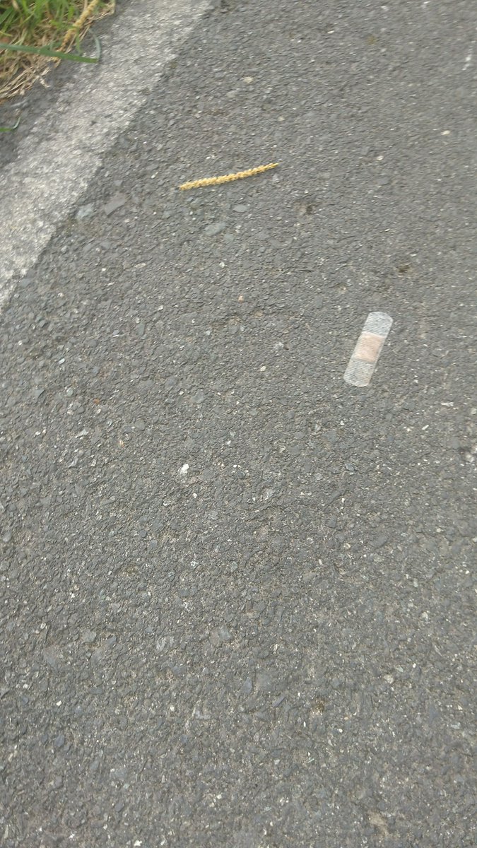 Stilleben