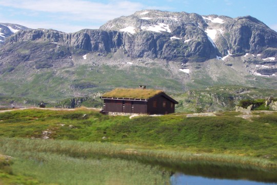 Eine Farm oberhalb der Baumgrenze