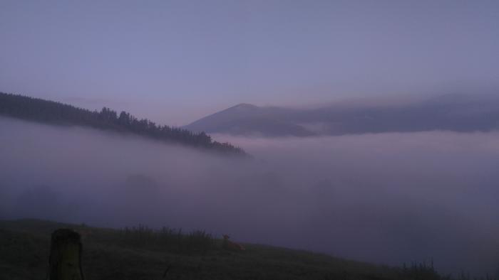 Eine Hügellandschaft vom Gipfel eines Hügels aufgenommen. Wolken befinden sich in den Hügeltälern.