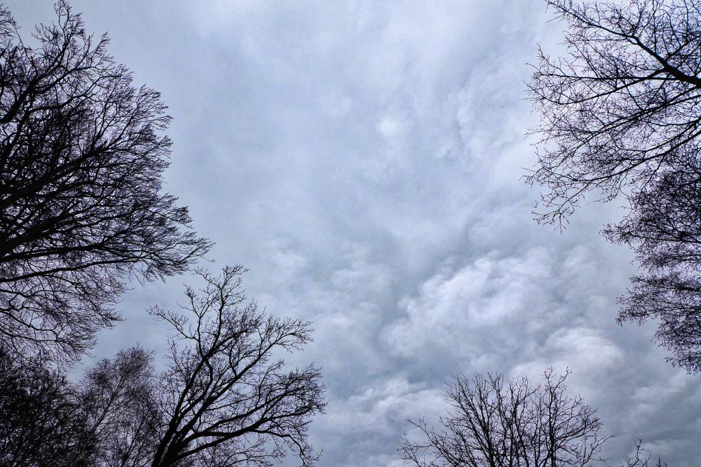 Vom Boden aus in den Himmel fotografiert. Eine dichte, graue Wolkendecke zusammengeschoben aus zahlreichen einzelnen. Am Rand ragen als Silhouette einige Bäume ins Bild.
