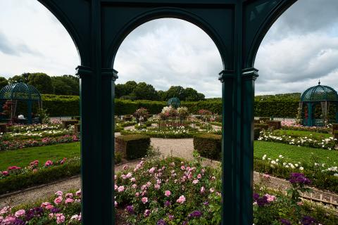 Ein Blick in einen prächtigen Rosengarten mit kunstvollen Beeten und einer Vielzahl an Rosen. Der Bildaufbau ist symmetrisch und zeigt einen Garten mit geometrischen Beeten, die mit verschiedenen Rosenarten gefüllt sind. Die Beete sind durch Rasenflächen und Sträucher getrennt, was dem Garten eine geordnete und strukturierte Atmosphäre verleiht. Durch zwei grüne Bögen aus geschwungenem Metall wird der Blick auf den Garten freigegeben. Die Bögen gehören anscheinend zu einem Pavillon analog zu zwei am Bildrand sichtbaren Pavillons. Der Fotograf steht anscheinend im Inneren eines Pavillons. Die Rosen zeigen ihre volle Blütenpracht, mit verschiedenen Formen, Farben und Texturen. Die Farben sind lebendig und bieten ein harmonisches Zusammenspiel im gesamten Bild. Die grünen Rasenflächen und Sträucher zwischen den Beeten dienen als natürliche Trennwände und betonen die Form und Gestaltung der Gestaltung des Gartens.
