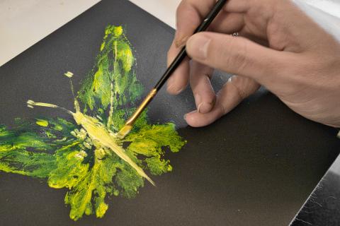 Eine Nahaufnahme zeigt die Hand einer Person, die mit einem Pinsel vorsichtig Details auf einem leuchtend grünen und gelben Schmetterling auf schwarzem Papier malt. Die Komposition ist nah und fokussiert, wobei die Szene im oberen rechten Bereich von einer Hand dominiert wird, die einen feinen Pinsel hält, der gerade einen der Flügel des Schmetterlings berührt. Der Schmetterling nimmt den größten Teil der Bildmitte ein und scheint vor dem dunklen Hintergrund aufzutauchen. Der Pinsel ist im Begriff, einen Teil des Flügels zu bemalen, was das Engagement des Betrachters in den kreativen Prozess vertieft. Das Bild wird von links oben beleuchtet, wodurch ein subtiler Schatten auf dem Papier entsteht und die Textur der Oberfläche verstärkt wird. Der Hauptgegenstand ist ein Schmetterling, der mit grünen und gelben Farbtönen gemalt wurde. Die Flügel werden mit verschiedenen Grüntönen und einigen gelben Akzenten dargestellt, die eine lebendige und fast fluoreszierende Wirkung erzeugen.