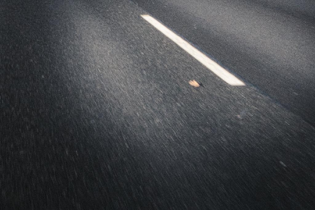 Die Aufnahme zeigt eine Nahaufnahme einer asphaltierten Straße mit einer weißen Mittellinie, die leicht von oben links nach unten rechts verläuft, sowie einen kleinen Gegenstand, mutmaßlich ein Blatt. Die Bildkomposition fokussiert sich auf die Textur der Straße und die diagonale Anordnung der Mittellinie. Der Blickwinkel ist leicht von oben, was dem Betrachter das Gefühl vermittelt, sich auf der Straße fortzubewegen, was durch die Bewegungsunschärfe verstärkt wird. Die Mittellinie dient als visuelle Führung, die den Blick des Betrachters durch das Bild lenkt. Die Platzierung des kleinen Objekts neben der Linie fügt der ansonsten abstrakten Szene einen Hauch von Realismus hinzu. Der Schwerpunkt des Bildes liegt nicht auf bestimmten Objekten, sondern auf der Beschaffenheit der Straße und der weißen Linie.