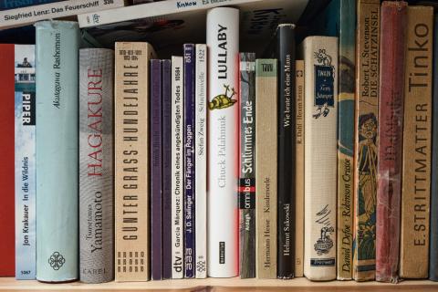 Eine Nahaufnahme zeigt eine Reihe von Büchern auf einem Holzregal, die in aufrechter Position angeordnet sind und unterschiedliche Größen, Farben und Schriftarten aufweisen. Die Komposition ist durch die vertikale Ausrichtung der Bücher gekennzeichnet, die nebeneinander aufgereiht sind und eine fast gleichmäßige Linie bilden, wobei leichte Höhenunterschiede auftreten. Die Anordnung schafft eine visuelle Symmetrie, die durch die Vielfalt der Buchumschläge und -farben aufgelockert wird. Die Bücher scheinen teilweise abgenutzt, was auf eine häufige Benutzung hindeutet.