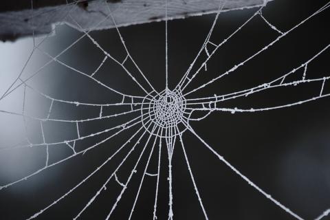 Ein Nahaufnahmbild zeigt ein filigranes Spinnennetz, das von Raureif bedeckt ist, vor einem verschwommenen, dunklen Hintergrund. Das Spinnennetz ist das dominierende Element des Bildes und nimmt einen Großteil des Rahmens ein. Es ist zentriert, wobei die spiralförmigen Fäden von einem zentralen Punkt ausstrahlen und sich nach außen hin verzweigen. Einige der Fäden scheinen durch kleine, quadratische oder rechteckige Verbindungen verstärkt zu sein. Der Hintergrund ist dunkel und verschwommen, was das filigrane Netz noch stärker hervorhebt. Das obere Ende des Netzes scheint an einer Holzstruktur befestigt zu sein, die am oberen Bildrand sichtbar ist.