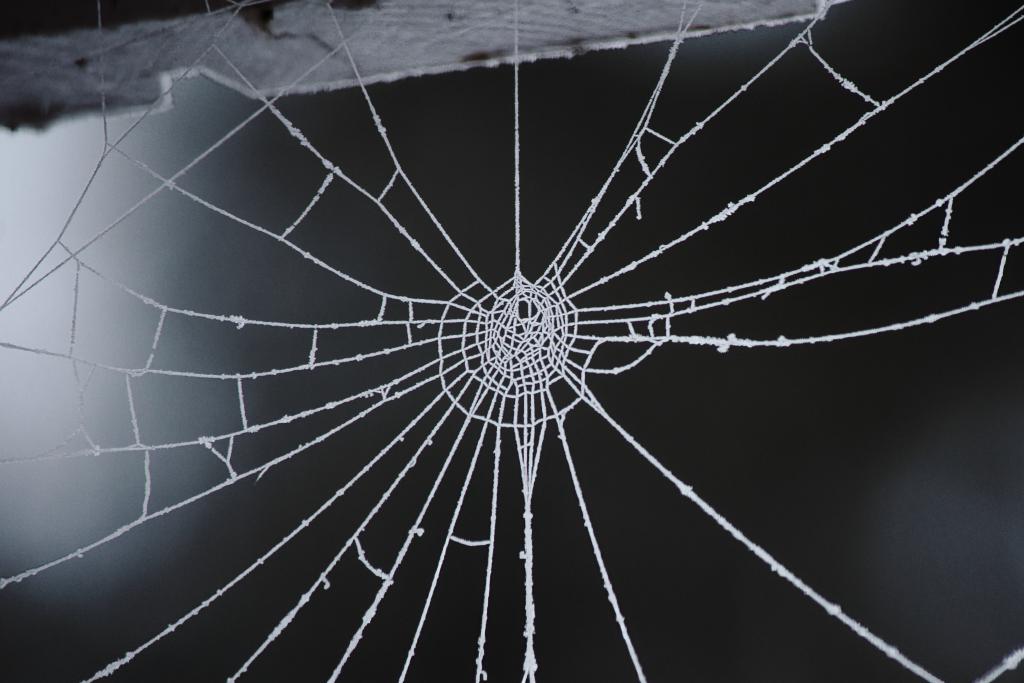 Ein Nahaufnahmbild zeigt ein filigranes Spinnennetz, das von Raureif bedeckt ist, vor einem verschwommenen, dunklen Hintergrund. Das Spinnennetz ist das dominierende Element des Bildes und nimmt einen Großteil des Rahmens ein. Es ist zentriert, wobei die spiralförmigen Fäden von einem zentralen Punkt ausstrahlen und sich nach außen hin verzweigen. Einige der Fäden scheinen durch kleine, quadratische oder rechteckige Verbindungen verstärkt zu sein. Der Hintergrund ist dunkel und verschwommen, was das filigrane Netz noch stärker hervorhebt. Das obere Ende des Netzes scheint an einer Holzstruktur befestigt zu sein, die am oberen Bildrand sichtbar ist.