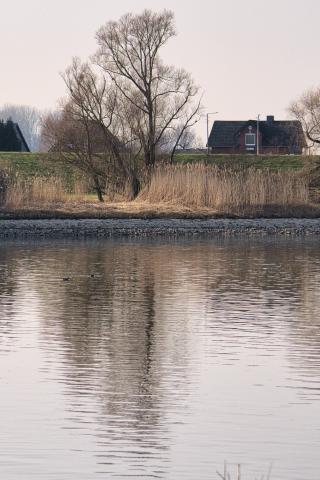Die Aufnahme zeigt eine ruhige Flusslandschaft im Nachmittagslicht, dominiert von Bäumen, Schilf und einem entfernten Haus, reflektiert auf dem sanft bewegten Wasser. Die Szene ist horizontal geteilt, wobei die untere Hälfte vom Fluss mit seinen Spiegelungen eingenommen wird und die obere Hälfte die Uferlinie mit Vegetation, Bäumen und einem Gebäude darstellt. Die Komposition ist ruhig und ausgewogen, mit der Reflexion der Bäume und des Hauses im Wasser, die eine vertikale Symmetrie schafft, obwohl das reale Motiv etwas asymmetrisch angeordnet ist. Im Wasser sind zwei kleine dunkle Punkte zu erkennen, die Vögel sein könnten, und das Schilf bildet eine dichte Textur im mittleren Bereich des Bildes. Das Hauptmotiv im Hintergrund ist ein Haus mit dunklem Dach und roten Ziegelwänden, das an eine dunkle Ziegelmauer grenzt und von einem einzelnen Baum mit kahlen Ästen überragt wird. Links vom Haus sind weitere Bäume und eine leichte Erhebung des Geländes zu sehen.