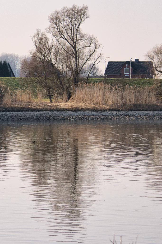 Die Aufnahme zeigt eine ruhige Flusslandschaft im Nachmittagslicht, dominiert von Bäumen, Schilf und einem entfernten Haus, reflektiert auf dem sanft bewegten Wasser. Die Szene ist horizontal geteilt, wobei die untere Hälfte vom Fluss mit seinen Spiegelungen eingenommen wird und die obere Hälfte die Uferlinie mit Vegetation, Bäumen und einem Gebäude darstellt. Die Komposition ist ruhig und ausgewogen, mit der Reflexion der Bäume und des Hauses im Wasser, die eine vertikale Symmetrie schafft, obwohl das reale Motiv etwas asymmetrisch angeordnet ist. Im Wasser sind zwei kleine dunkle Punkte zu erkennen, die Vögel sein könnten, und das Schilf bildet eine dichte Textur im mittleren Bereich des Bildes. Das Hauptmotiv im Hintergrund ist ein Haus mit dunklem Dach und roten Ziegelwänden, das an eine dunkle Ziegelmauer grenzt und von einem einzelnen Baum mit kahlen Ästen überragt wird. Links vom Haus sind weitere Bäume und eine leichte Erhebung des Geländes zu sehen.