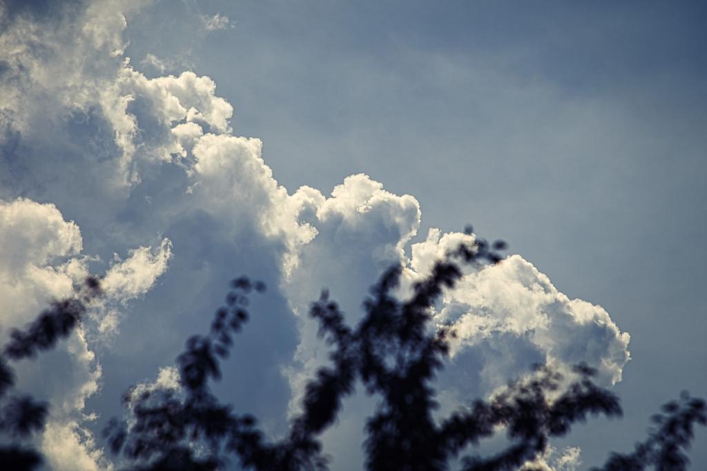 Ein blauer Himmel mit dramatisch weißen, aufgequollenen Cumuluswolken, die von der Seite beleuchtet werden. Im Vordergrund ist ein dunkler, unscharfer Schatten von Blättern oder Zweigen zu sehen, der einen Rahmen um die Wolkenlandschaft bildet.