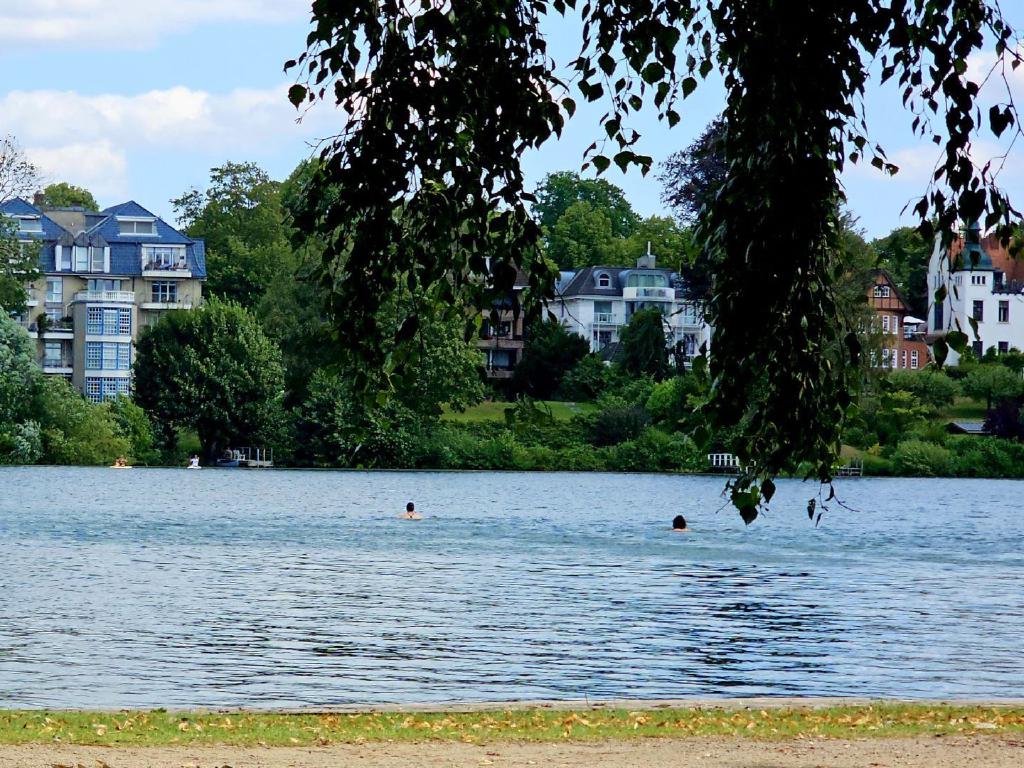 Blick über einen Fluss mit zwei Schwimmern und Häusern / Stadtvillen im Hintergrund, im Vordergrund Äste mit Blättern.
