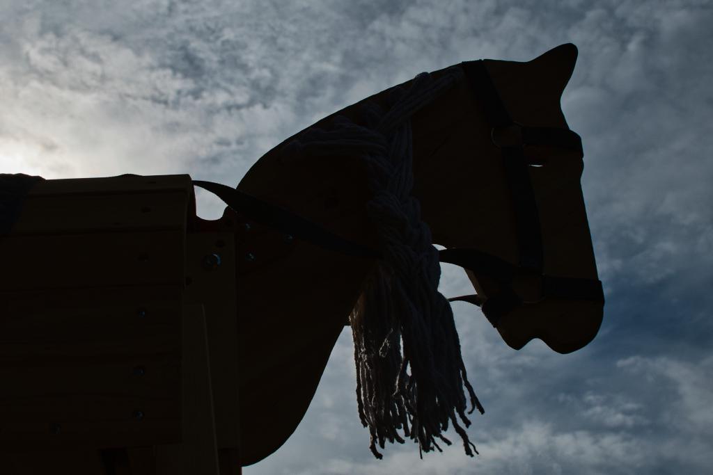 Das Bild zeigt die dunkle Silhouette eines hölzernen Pferdekopfes vor einem bewölkten Himmel. Um den Hals des Pferdes ist ein helles, zotteliges Seil gebunden, das wie eine Mähne herabhängt. Die Szene ist in Gegenlicht aufgenommen, wodurch die Konturen des Spielzeugpferdes klar hervortreten. Der Hintergrund besteht aus einer diffusen Wolkendecke, die dem Bild eine ruhige und leicht mystische Stimmung verleiht.