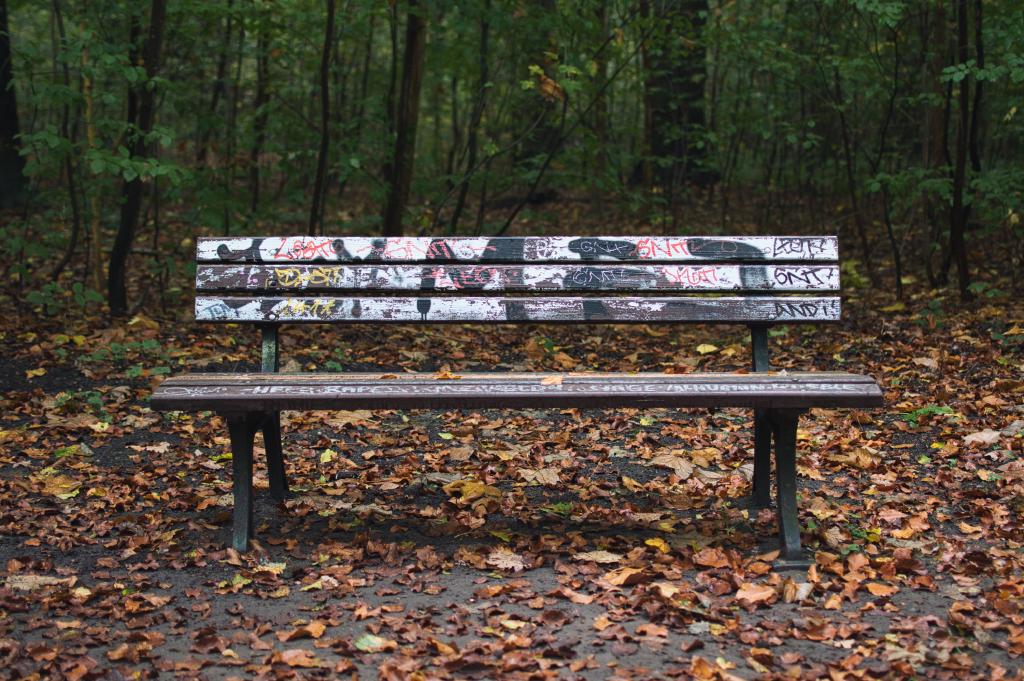 Leere Parkbank mit verwitterten, von Graffiti überzogenen Holzlatten auf einem mit Herbstlaub bedeckten Waldweg, dahinter dichter, grüner Laubwald